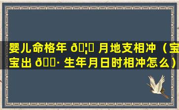 婴儿命格年 🦊 月地支相冲（宝宝出 🌷 生年月日时相冲怎么）
